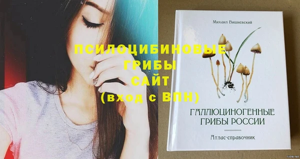 скорость Алзамай