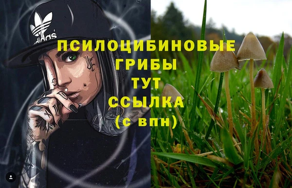 ешки Алексин