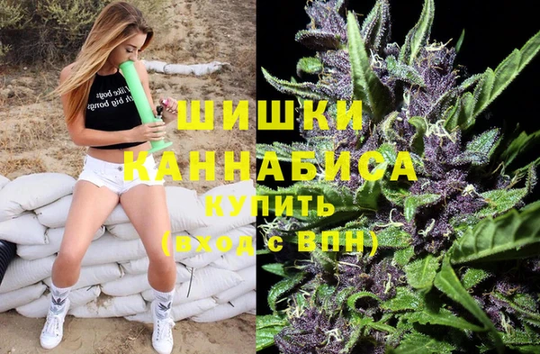 ешки Алексин