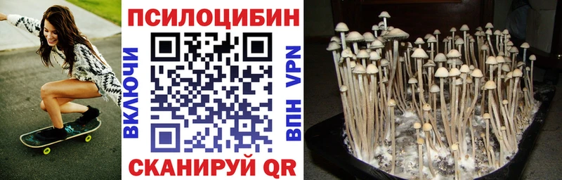 OMG зеркало  Кашин  Псилоцибиновые грибы мухоморы 